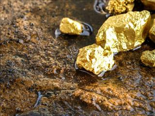 شناسایی یک معدن طلا در گناباد خراسان رضوی / کیفیت طلای معدن کشف شده بسیار عالی است